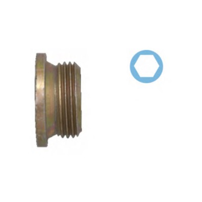 Oljeplugg med packning Corteco 220133S