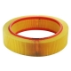 Luftfilter Denckermann A140232