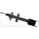 Stötdämpare Denckermann DSB189G, bak