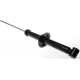 Stötdämpare Denckermann DSF052G, bak